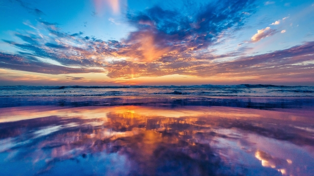 这个专业将是下一个风口！边玩边学还能拿高薪！